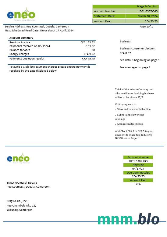 Cameroon ENEO electricity rachunek za usługi komunalne szablon w formatach Word i Pdf